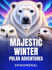 Majestic Winter - Polar Adventures