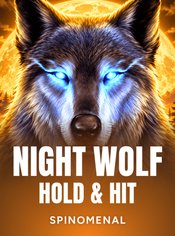 Night Wolf - Hold & Hit