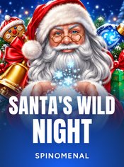 Santa’s Wild Night