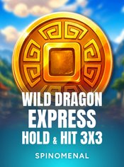 Wild Dragon Express - Hold & Hit 3x3