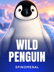 Wild Penguin