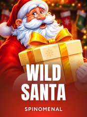 Wild Santa
