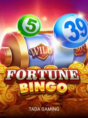 Fortune Bingo slot by TaDa Gaming