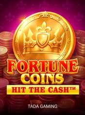 Fortune Coins slot by TaDa Gaming