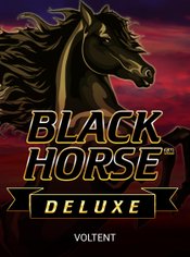Black Horse Deluxe slot by VoltEnt (Wazdan)