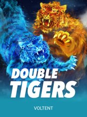 Double Tigers slot by VoltEnt (Wazdan)