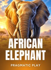 African Elephant