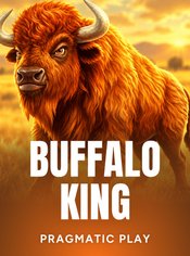 Buffalo King