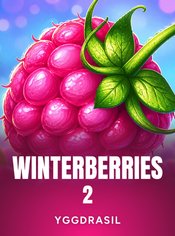Winterberries 2
